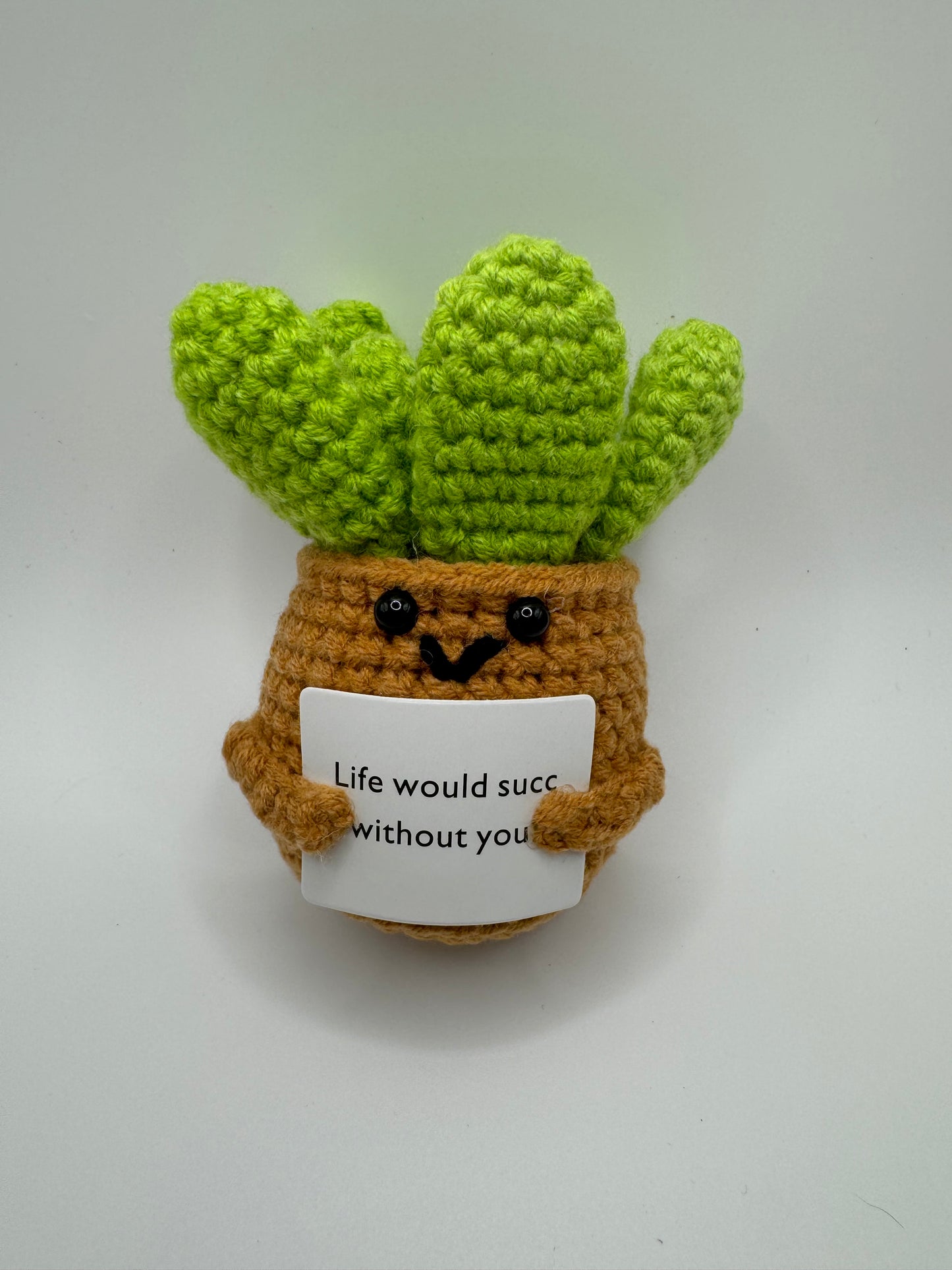 Handmade Crochet Succulent